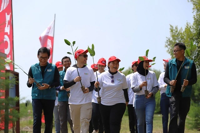 AHM Tanam 12.000 Mangrove di Karawang, Wujud Nyata Peduli Iklim dan Lingkungan