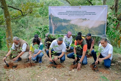 Program Titian Lestari, Upaya Nyata Selamatkan Owa Jawa yang Terancam Punah